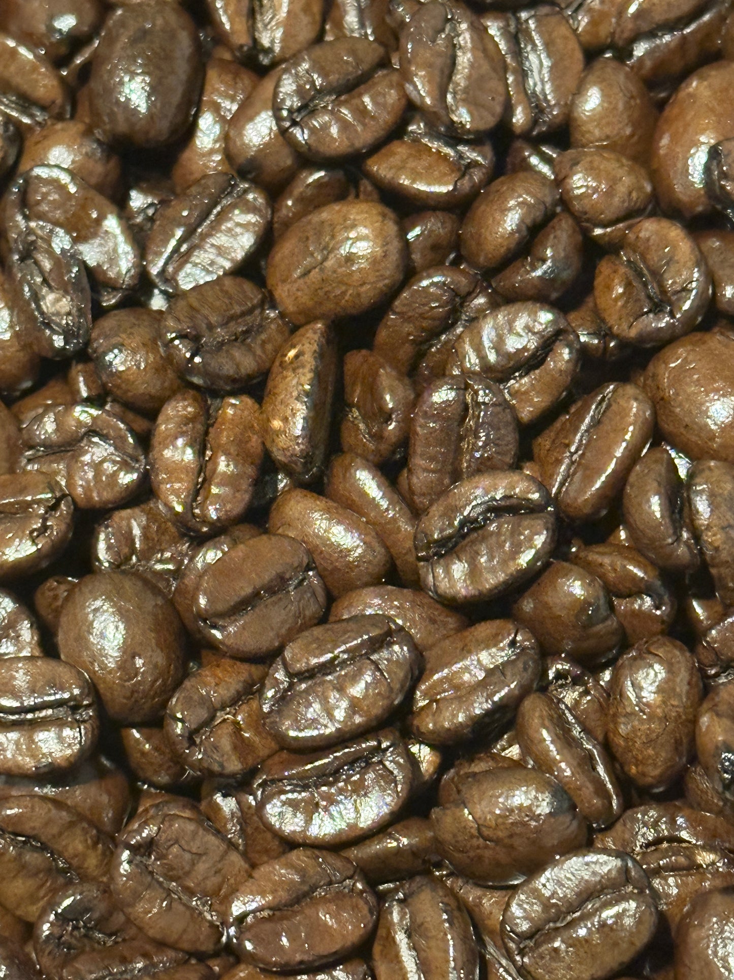 Darjees Continental Roast (whole bean)