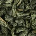 Darjees Colonial Green